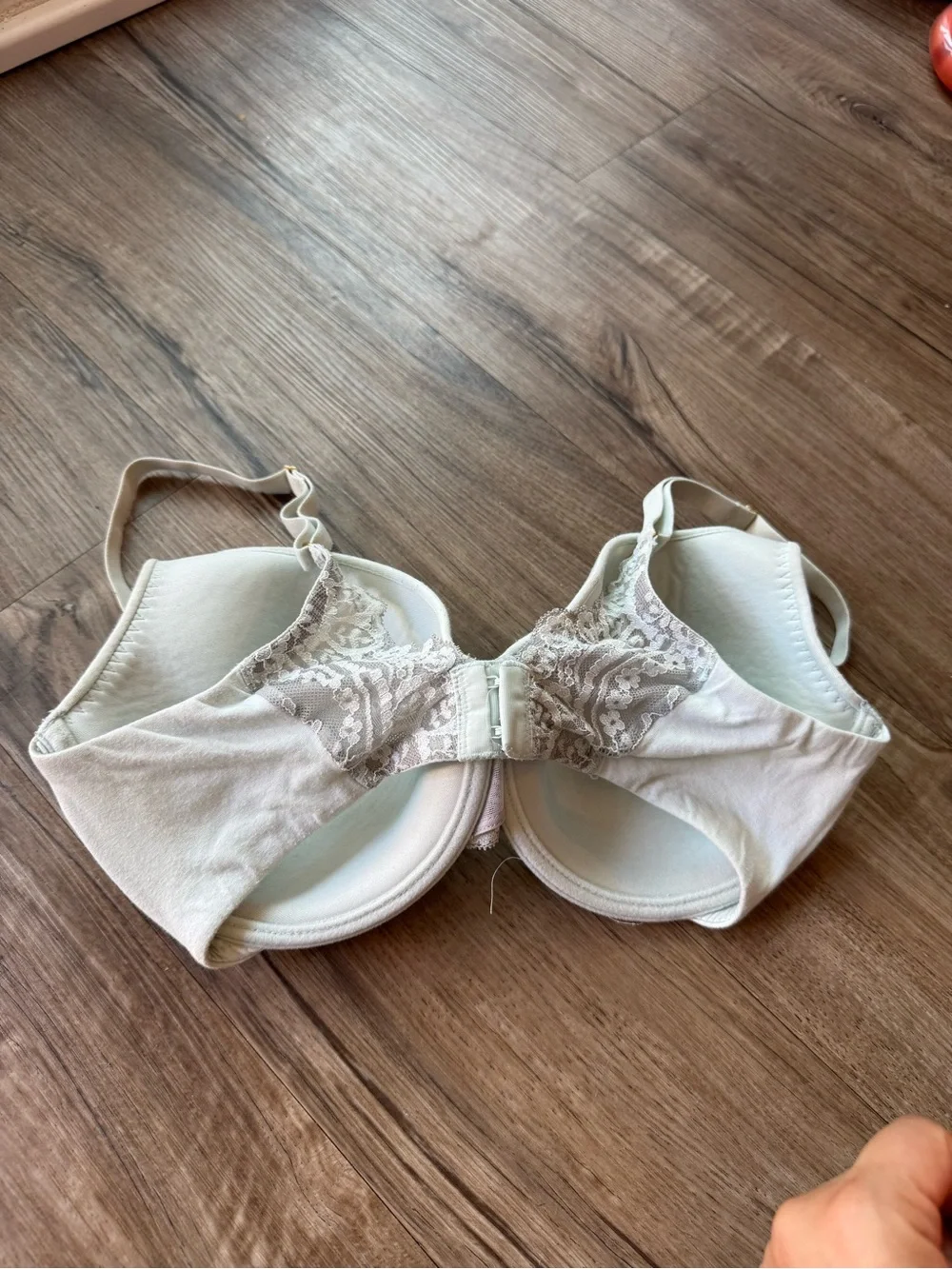 Natori bra lace